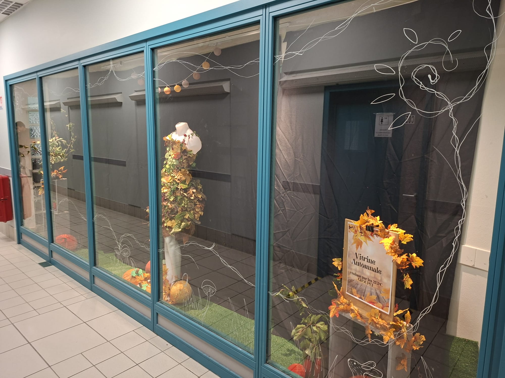 Vitrine Automne 2025 1